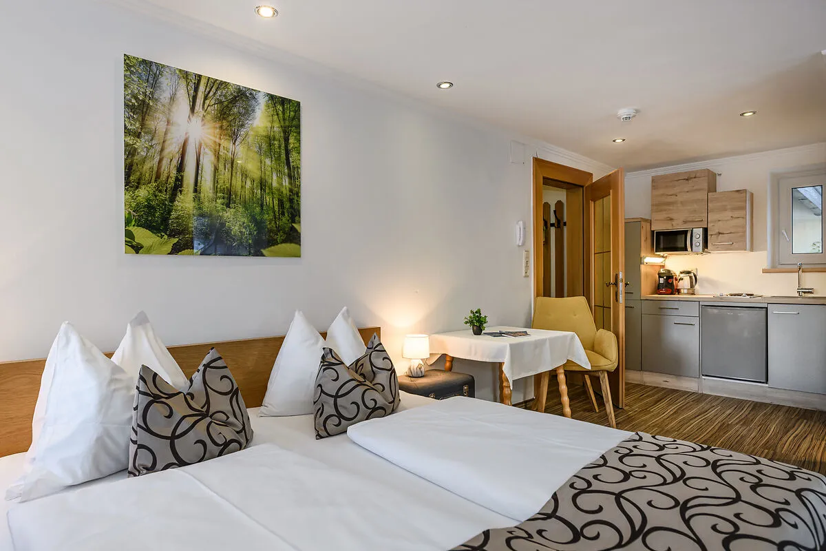 Apartment Gamskar Wohn- und Schlafbereich mit Küchenzeile bei GRUBERS Hotel-Apartments Gastein in Bad Gastein