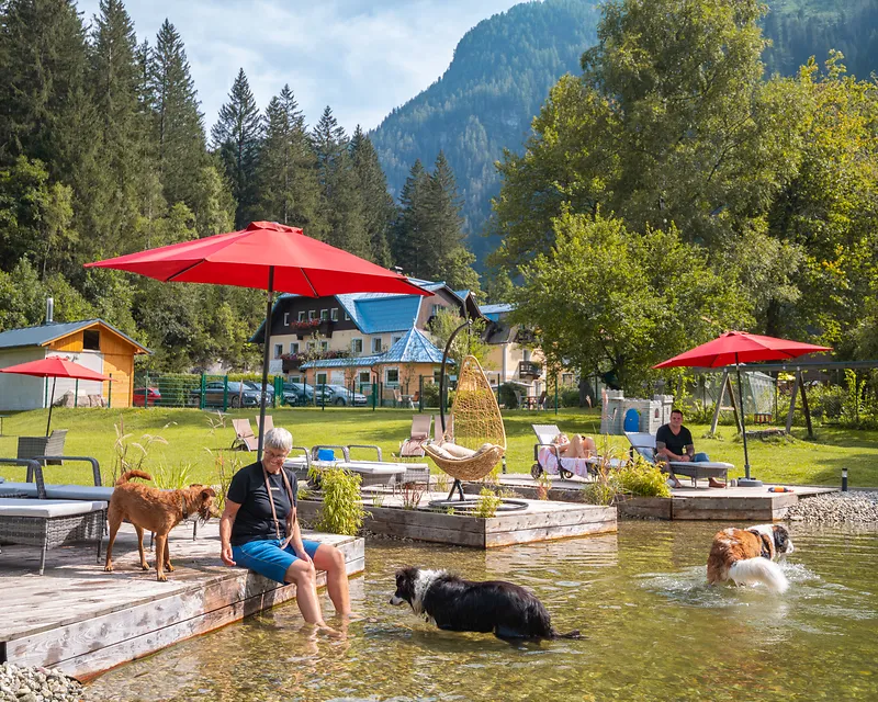 Hunde baden im Hundebadeteich im Garten der GRUBERS Hotel-Apartments in Bad Gastein