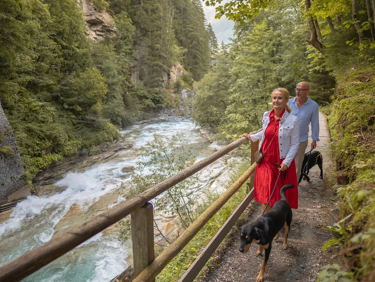 urlaub mit hund bad gastein promenade wasserfall hund spazieren.webp